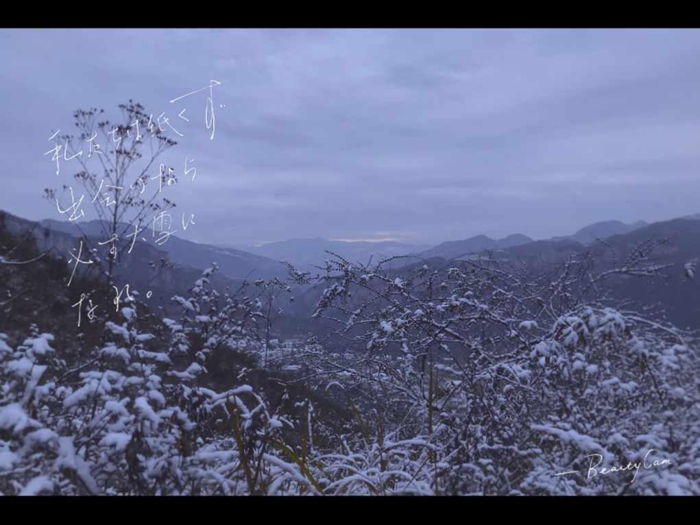 逃出绿色公寓