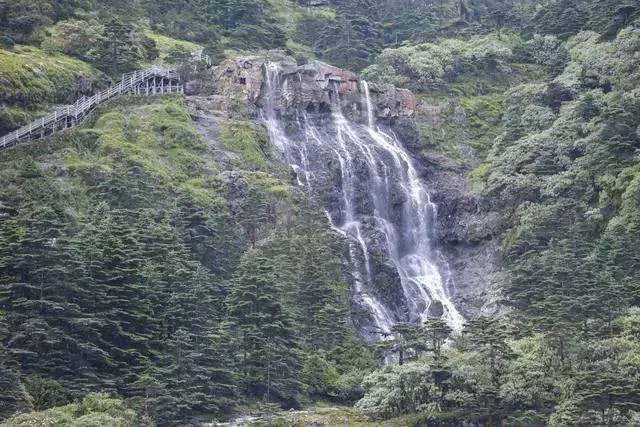 春节为什么要吃饺子游戏画面